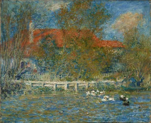 The Duck Pond